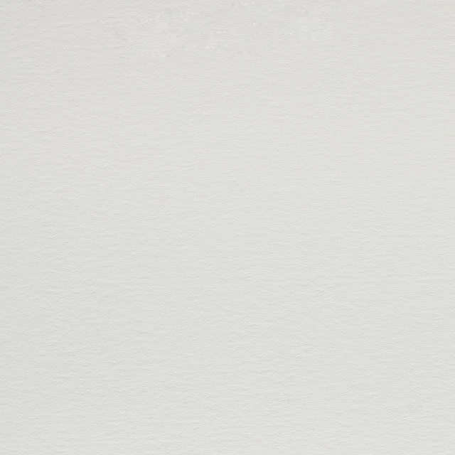 Giấy mỹ thuật Olin Rough High White| Wings Paper